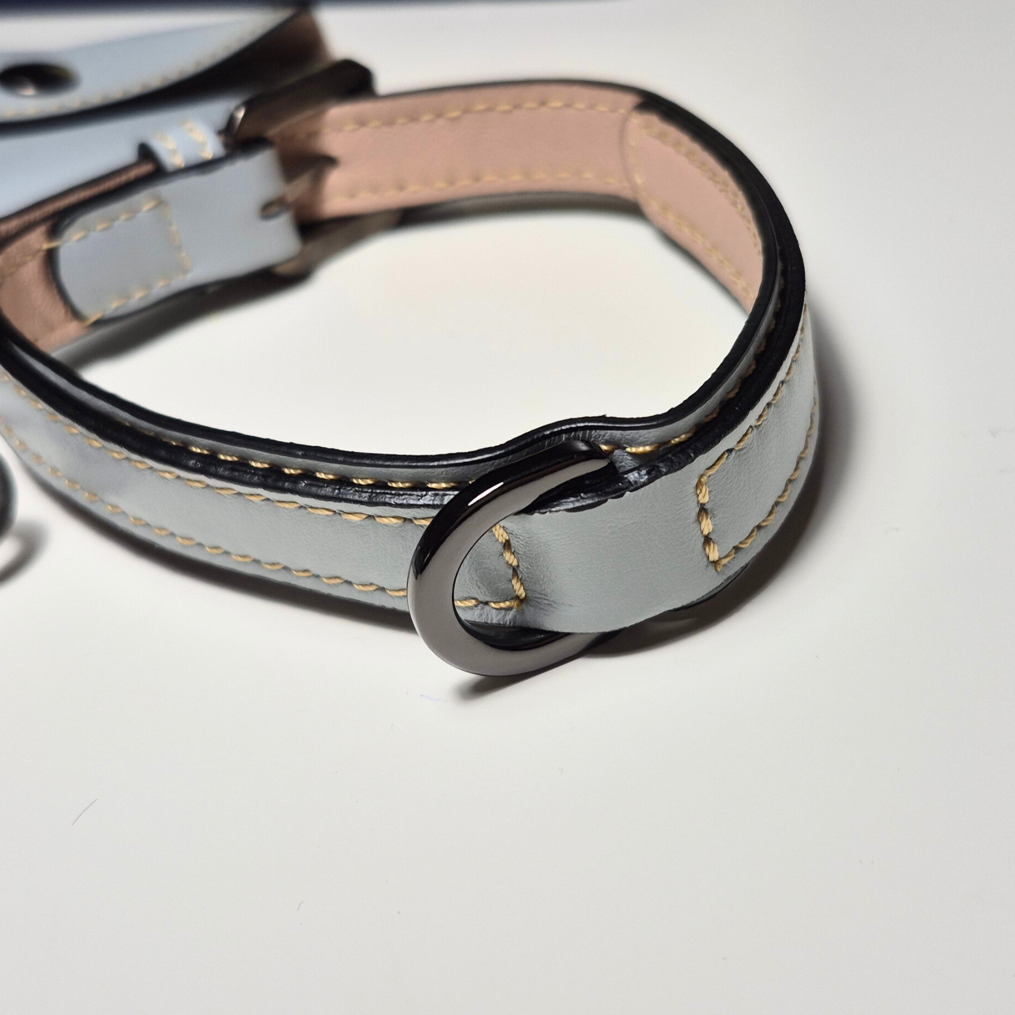 Set Collare e Guinzaglio in Pelle con Porta Sacchetti